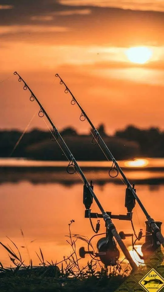 Golf, pesca y recorridos cercanos